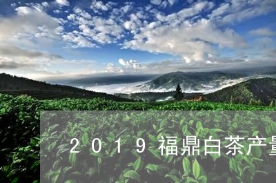 2019福鼎白茶产量/2023092081614