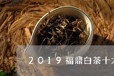 2019福鼎白茶十大知名品牌是/2023111538171