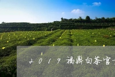 2019福鼎白茶官方价格/2023092676149