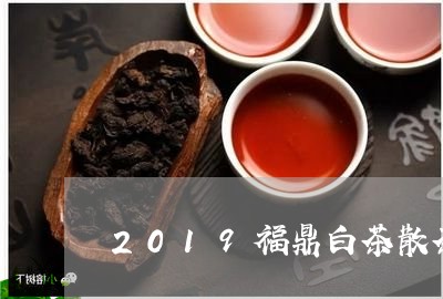 2019福鼎白茶散茶/2023092005939