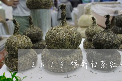 2019福鼎白茶牡丹饼/2023092164028