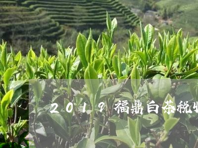 2019福鼎白茶税收/2023092081247