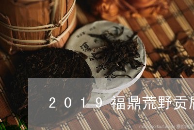 2019福鼎荒野贡眉白茶价格表/2023111500581