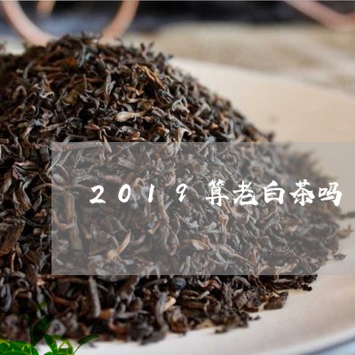 2019算老白茶吗/2023121560604