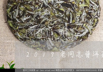 2019老同志普洱茶/2023100772647