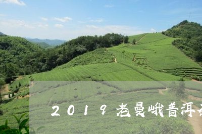 2019老曼峨普洱茶/2023062485060