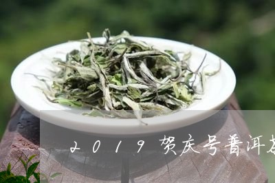 2019贺庆号普洱茶/2023100678682