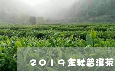 2019金秋普洱茶/2023091435247