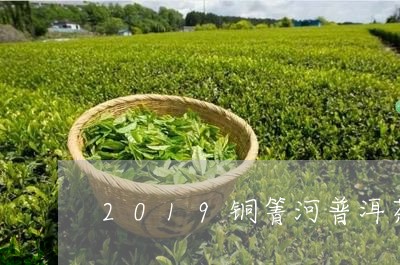 2019铜箐河普洱茶口感特点/2023102573806