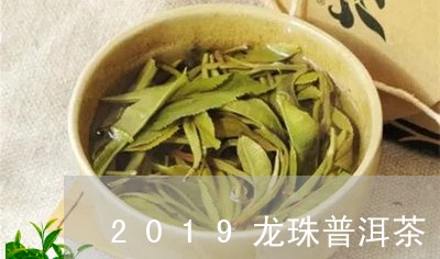 2019龙珠普洱茶/2023101664926