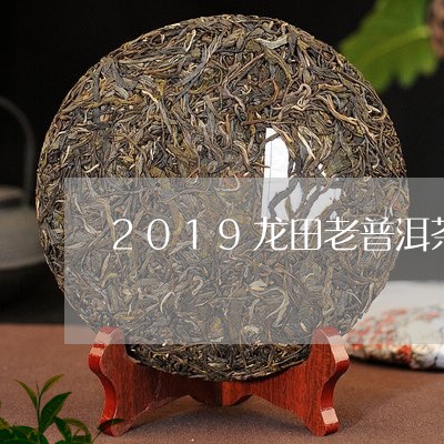 2019龙田老普洱茶/2023120617293