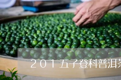 201五子登科普洱茶/2023061526371