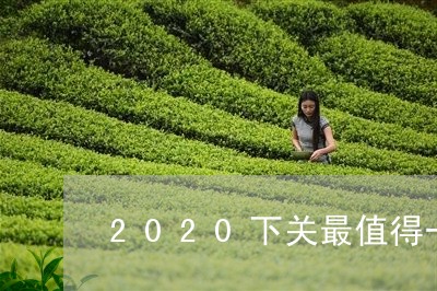 2020下关最值得一买的普洱茶/2023060295147