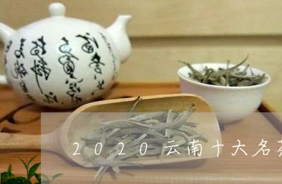 2020云南十大名茶/2023092174126