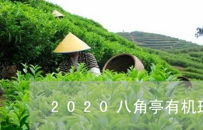 2020八角亭有机班章200克/2023060103803