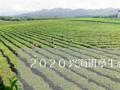 2020兴海班章生态/2023092262716