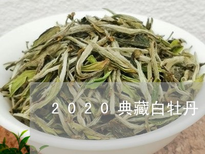 2020典藏白牡丹/2023120585835