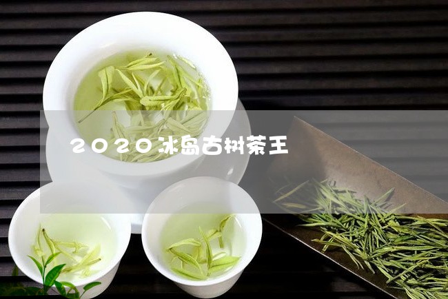 2020冰岛古树茶王/2023092466460