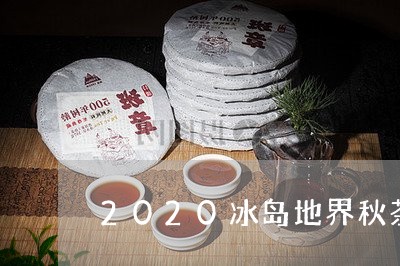 2020冰岛地界秋茶/2023061218251