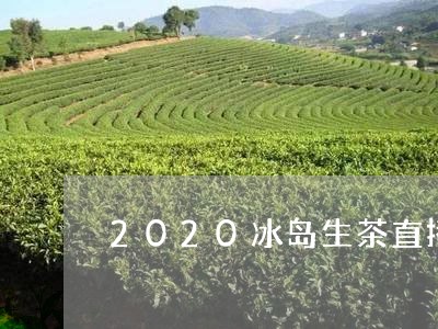 2020冰岛生茶直播/2023092363803