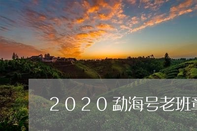 2020勐海号老班章/2023092415261