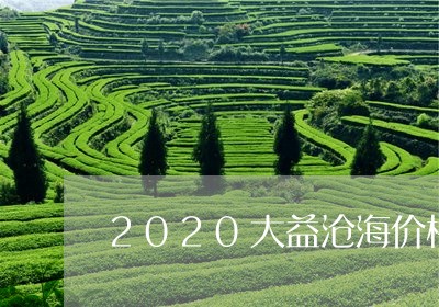 2020大益沧海价格/2023061057249