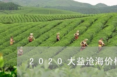 2020大益沧海价格/2023071631948