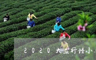 2020大益行情小马/2023071627279