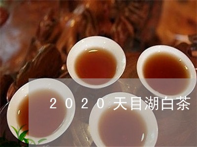 2020天目湖白茶/2023071389470