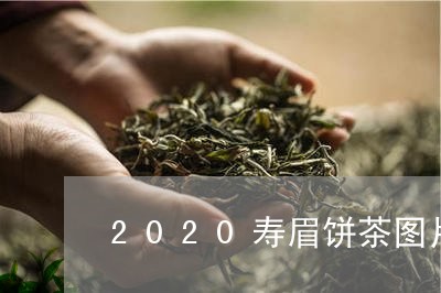 2020寿眉饼茶图片/2023092776136