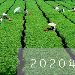 2020年10大名茶/2023092104847