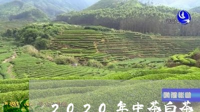 2020年中茶白茶/2023121583725