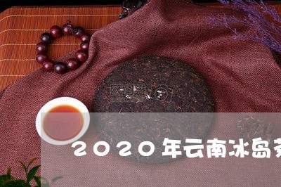 2020年云南冰岛茶/2023092474047