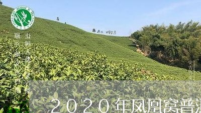 2020年凤凰窝普洱茶的价格/2023053027281