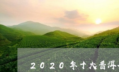 2020年十大普洱茶/2023092945251