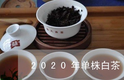 2020年单株白茶/2023071391703