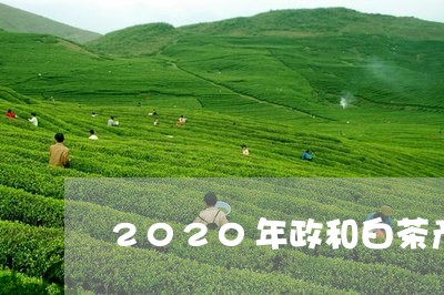 2020年政和白茶产量/2023092407350