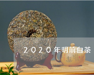 2020年明前白茶/2023121510492