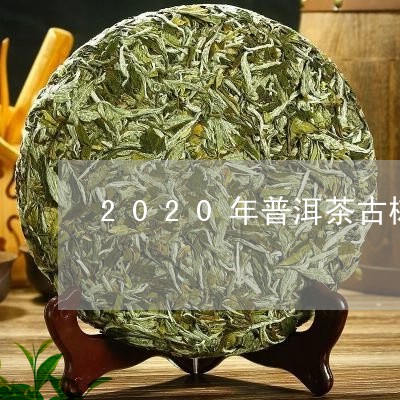 2020年普洱茶古树鲜叶价格/2023053051706