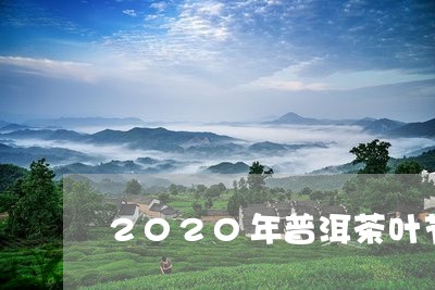 2020年普洱茶叶节/2023092500794