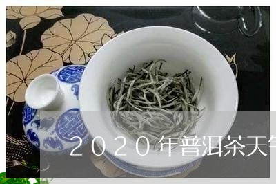 2020年普洱茶天气/2023062865936