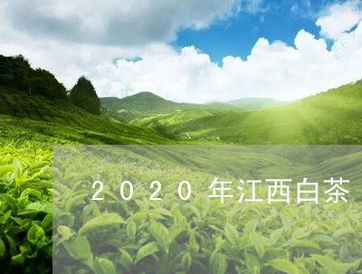 2020年江西白茶/2023121550692