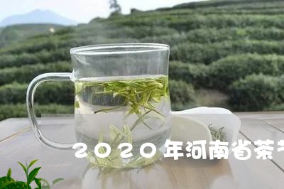 2020年河南省茶艺总冠军/2023052631614