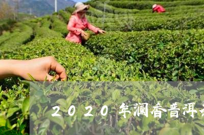 2020年澜香普洱茶/2023062705938