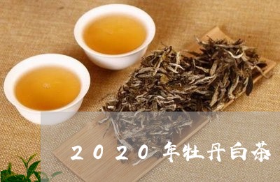 2020年牡丹白茶/2023121585159