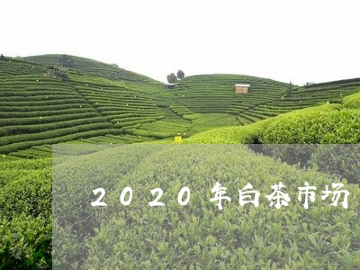 2020年白茶市场/2023121508170