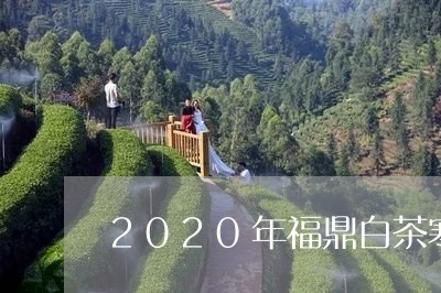 2020年福鼎白茶寒露茶/2023092643825