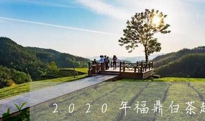 2020年福鼎白茶趋势/2023092258470