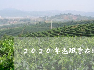 2020年老班章古树/2023061231604