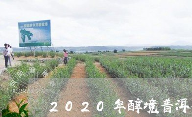 2020年醇境普洱茶/2023100667259